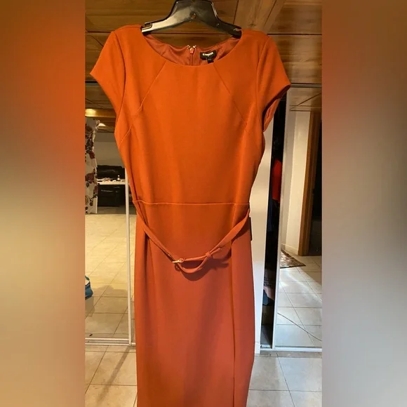 express burnt orange dress Express Burnt Orange Mini Flutter Sleeve Dress Sz Med